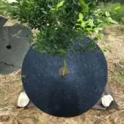 12 Pcs Mulch Ring Tree Protector Mats 27-42cm Disc Shrub Tree Guard Shading