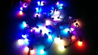 在飛比找Yahoo!奇摩拍賣優惠-《晶站》聖誕燈　珍珠燈 水晶燈 葡萄燈 聖誕樹 耶誕燈 裝飾
