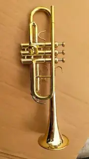TRUMPET New Top Great STUDENTS New Brass Bb Trumpet C Free HARD Case+MOUTHPIECE