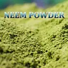 NEEM Powder ORGANIC FOOD GRADE PURE NATURAL BOOST IMMUNE SYSTEM REJUVENATE SKIN