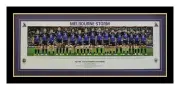 MELBOURNE STORM 2017 NRL Premiers Grand Final Team Panoramic Photo Framed