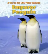 在飛比找博客來優惠-Emperor Penguin