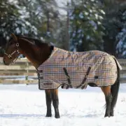 Kensington Platinum SuperMesh Turnout Blanket with CoolPlus (180g Medium)