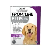 Frontline Plus for Large Dogs 20-40kg Purple Flea Lice & Tick Treatment 3 pack