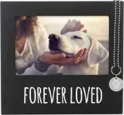 Pearhead Forever Loved pet Memorial Collar Frame, Frame Memorial Frame Dog Puppy