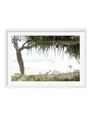 [Profile Australia] Australian Made Noosa Under Palms Art Print A1 Frame in White