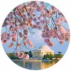 The Tidal Basin Cherry Blossoms PUZZLE A· ROUND Puzzle-140 Pieces- Pigment & Hue