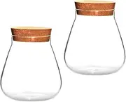 BESPORTBLE Glass Plant Container: Micro Landscape Terrarium with Wood Lid, Mini Glass Fish Tank, DIY Planter Terrariums Decor 2Pcs C