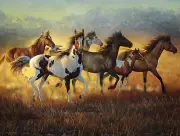 SunsOut Running with the Wind 500 Piece Jigsaw Puzzle