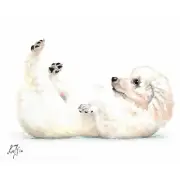✿ ORIGINAL Oil Dog Portrait Painting POODLE Artist Signed Artwork White Puppy