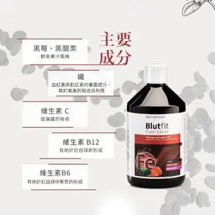 【聖伯納德 Sanct Bernhard】德國百年草本 水果鐵飲(500ml 二入組 雙11限定)