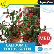 Aqua One Ecoscape Medium Calidum Et Folius Green (28462)