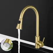 ACA Kitchen Tap Mixer Tap Pull Out 2 Mode Sink Faucet Basin Laundry Brushed Gold