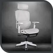 Furb Ergonomic Office Chair with Foot Rest, High Desk Chair for Computer Desk/Task Work, Grey