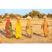 Save 20.00%! Private Royal Rajasthan with Taj Mahal Tour from Delhi
