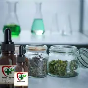 Licorice Root Tincture ORGANIC Liquorice Herb ALCOHOL FREE Herbal Extract Liquid