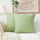 Home Brilliant® Decorative Throw Pillow CoversFresh Grass Green 20x20. Pair
