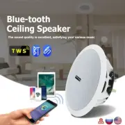 Home Ceiling Speaker Bluetooth Amplifier Theater Background Sound DC 5V 10W