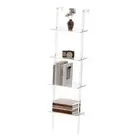 Small Acrylic Ladder Bookshelf, 9.5" D x 15.6" W, 4-Tier Clear Wall Mounted