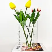 NaTickap Book Vase for Flowers, Unique Flower Vase, Cute Acrylic Vase, The Mystery of Growth Clear Flower Vase, Modern Aesthetic Vase for Bookshelf Dining Table Desk Bedroom Office Home Decor (Clear)