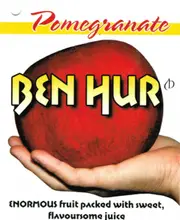 Pomegranate Ben Hur Tree - Punica granatum