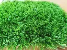40 MM Synthetic Turf , 2 sqm to 50 sqm
