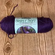 Caron Simply Soft yarn 1 Skein 6 oz Violet 9738 Acrylic Afghan Pattern Included