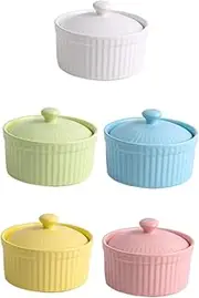 BIUDECO Set of 5 Elegant Porcelain Bowls Baking Ramekins Lids Ceramic Soup Bowls Heat Resistant Suitable for Casserole Desserts