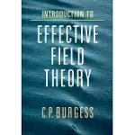 INTRODUCTION TO EFFECTIVE FIELD THEORY