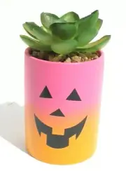 NEW Pink / Orange Happy Halloween Pumpkin Ceramic Planter Plot W/ Succulents