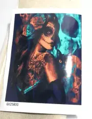 Paint by Number for Adults Kids, Paint by Numbers Kits on Canvas Magic Girl Cat
