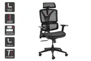 Ergolux EX10 Ergonomic Mesh Office Chair