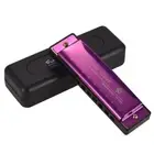 10 Holes Harmonica Key of C Purple Stainless Steel for Beginners R0H9