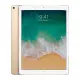 IPAD PRO 12.9 WIFI CL 512GB GOLD