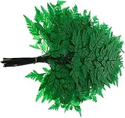 Cabilock Home Desk Decorative Ferns Bundle Artificial Plant Adornment for Rustic Centerpieces No Maintenance Required for Weddings Parties and Home Decor