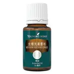 【全新公司貨】YOUNG LIVING 北極光黑雲杉NORTHERN LIGHTS BLACK SPRUCE精油 5ML