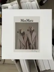 MAX MARA Rare William Bill Wegman Dog Portrait Teddy Box Collectors Gift Box NEW