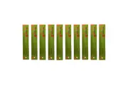 Auroshikha Cedar Incense - 10 Pack