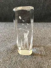 Laser Etched Glass Block 3D Paper Weight Golfer
