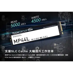 TEAM 十銓 MP44L M.2 PCIe Gen4x4 SSD 1TB 2TB 固態硬碟