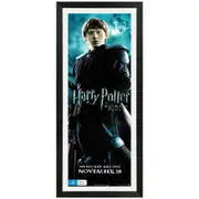 Harry Potter and the Half-Blood Prince - Ron Promotional Vintage Daybill Poster Framed