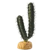 Finger Cactus 20cm Reptile Decoration by Exo Terra
