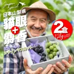 【果樹寶石】日本山梨貓眼葡萄＋山梨麝香葡萄X2盒（約1100克/盒）(日本專機直送 超值擁有)