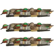 Avian X Topflight Green-Winged Teal Duck, Floating Decoys, Set of 18, Multicolor