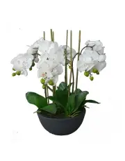 [Fusion] Phalaenopsis Orchid Plant Artificial Flower 55cm in Black