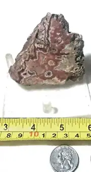 Rosetta Jasper Lapidary face cut Slab 2.8 oz (80 grams)