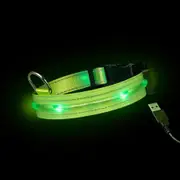 Loomo LED Dog Collar Green