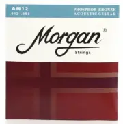 Morgan 12-53 Acoustic Guitar Strings Phosphor Bronze Anti-Rust Coating - 3 Set