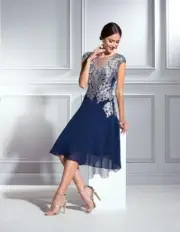 ANTHEA CRAWFORD Aster Dress NWT rrp $749 Size 16 Fit and Flare Embroidered