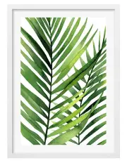 [Profile Australia] Australian Made Kentia Palm Leaves Art Print A1 White Frame